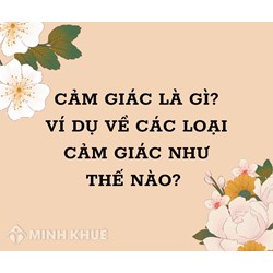 Cảm giác là gì? Lấy ví dụ về các loại cảm giác?