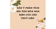 Dàn ý phân tích bài thơ Mùa hoa mận của Chu Thùy Liên chi tiết