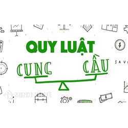 Mối quan hệ cung cầu là mối quan hệ tác động giữa những chủ thể nào sau đây?