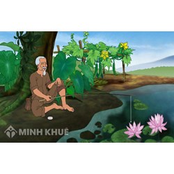 Soạn bài thơ Nhàn của Nguyễn Bỉnh Khiêm ngắn gọn, đầy đủ nhất