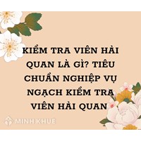 Kiểm tra viên hải quan là gì? Tiêu chuẩn nghiệp vụ ngạch kiểm tra viên hải quan