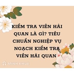 Kiểm tra viên hải quan là gì? Tiêu chuẩn nghiệp vụ ngạch kiểm tra viên hải quan