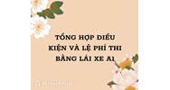 Tổng hợp điều kiện và lệ phí thi bằng lái xe A1 mới nhất