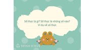 Số thực là gì? Số thực là những số nào? Ví dụ về số thực
