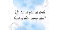 Ví dụ về giá cả ảnh hưởng đến cung cầu?