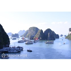 Quảng Ninh có bao nhiêu thành phố? gồm những thành phố nào?