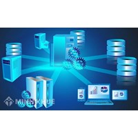 Hệ quản trị cơ sở dữ liệu là gì? Hệ quản trị cơ sở dữ liệu gồm?