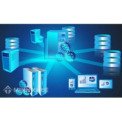 Hệ quản trị cơ sở dữ liệu là gì? Hệ quản trị cơ sở dữ liệu gồm?