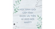 Học sinh giỏi cấp tỉnh được ưu tiên gì không theo quy định mới?
