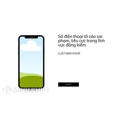 Tố cáo sai phạm, tiêu cực trong lĩnh vực đăng kiểm gọi số nào?