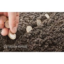 Các trường hợp được miễn giảm tiền sử dụng đất mới nhất?
