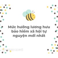 Mức hưởng lương hưu bảo hiểm xã hội tự nguyện mới nhất