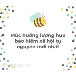Mức hưởng lương hưu bảo hiểm xã hội tự nguyện mới nhất