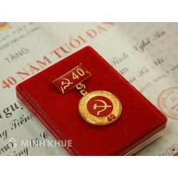Bài phát biểu cảm nghĩ khi nhận huy hiệu Đảng hay, ý nghĩa nhất