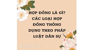 Hợp đồng là gì? 13 loại hợp đồng thông dụng nhất