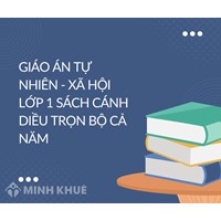 Giáo án Tự nhiên - Xã hội lớp 1 sách Cánh Diều trọn bộ cả năm
