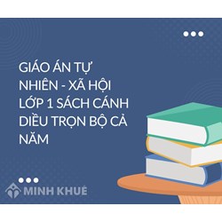 Giáo án Tự nhiên - Xã hội lớp 1 sách Cánh Diều trọn bộ cả năm