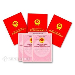 Vì sao cần làm gấp sổ đỏ trong năm nay lý do là gì?