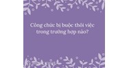 Công chức bị buộc thôi việc trong trường hợp nào?
