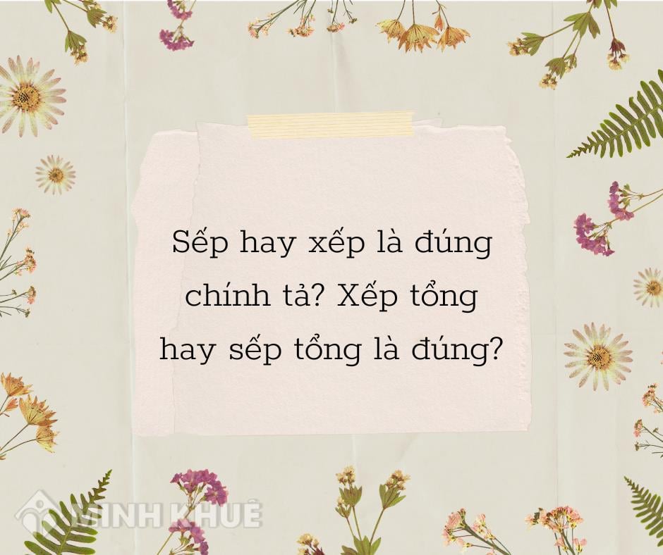 Sếp là gì và vai trò của sếp trong doanh nghiệp?
