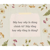 Sếp hay xếp là đúng chính tả? Xếp tổng hay sếp tổng là đúng?