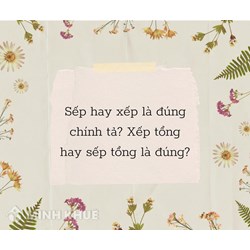 Sếp hay xếp là đúng chính tả? Xếp tổng hay sếp tổng là đúng?