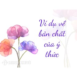 Ví dụ về bản chất của ý thức và nguồn gốc của ý thức