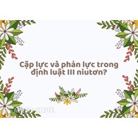 Cặp lực và phản lực trong định luật III niutơn?