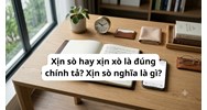 Xịn sò hay xịn xò là đúng chính tả? Xịn sò nghĩa là gì?