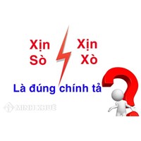 Xịn sò hay xịn xò là đúng chính tả? Xịn sò nghĩa là gì?