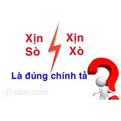 Xịn sò hay xịn xò là đúng chính tả? Xịn sò nghĩa là gì?