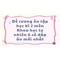 Đề cương ôn tập học kì 2 môn Khoa học tự nhiên 6 có đáp án mới nhất