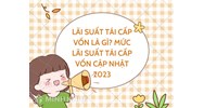 Lãi suất tái cấp vốn là gì? Mức lãi suất tái cấp vốn mới nhất