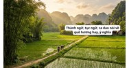 Thành ngữ, tục ngữ, ca dao nói về quê hương hay, ý nghĩa nhất