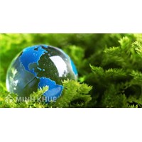 Đoạn văn về chủ đề Để hành tinh xanh mãi xanh chọn lọc hay nhất