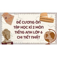 Đề cương ôn tập học kì 2 môn Tiếng Anh lớp 6 chi tiết nhất