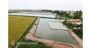 Đất trồng lúa có được đào ao thả cá không? Làm sao để hợp pháp?