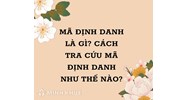 Mã định danh là gì? Hướng dẫn cách tra cứu Mã định danh đơn giản nhất