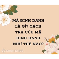 Mã định danh là gì? Hướng dẫn cách tra cứu Mã định danh đơn giản nhất