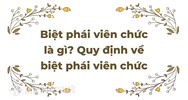 Biệt phái viên chức là gì? Quy định về biệt phái viên chức