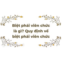 Biệt phái viên chức là gì? Quy định về biệt phái viên chức