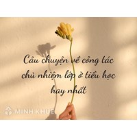 Câu chuyện về công tác chủ nhiệm lớp ở tiểu học hay nhất