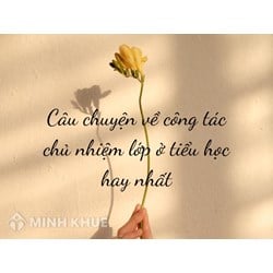Câu chuyện về công tác chủ nhiệm lớp ở tiểu học hay nhất