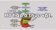 Quá trình hô hấp ở thực vật có ý nghĩa nào sau đây?