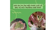 Đáp án thi Tìm hiểu pháp luật về bảo vệ môi trường mới nhất