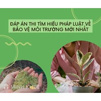 Đáp án thi Tìm hiểu pháp luật về bảo vệ môi trường mới nhất