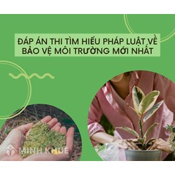 Đáp án thi Tìm hiểu pháp luật về bảo vệ môi trường mới nhất