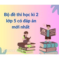 Bộ đề thi học kì 2 lớp 5 có đáp án mới nhất theo Thông tư 22