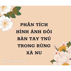 Phân tích hình ảnh đôi bàn tay Tnú trong Rừng Xà Nu hay nhất