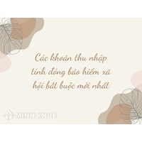 Các khoản thu nhập tính đóng bảo hiểm xã hội bắt buộc mới